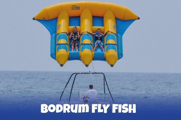 BODRUM FLY FISH
